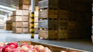 ساخت سردخانه